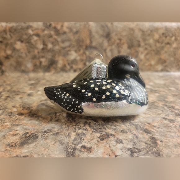 Old World Christmas Hand Blown Glass "LOON" - Picture 2 of 9